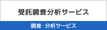 「受託調査分析サービス」調査・分析サービス