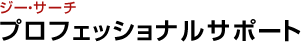 ジー・サーチ プロフェッショナルサポート